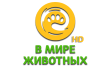 В мире животных HD logo