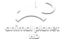 Animal Planet HD logo