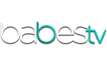 Babes HD logo