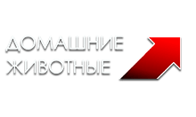 Домашние животные logo