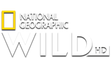 Nat Geo Wild HD logo