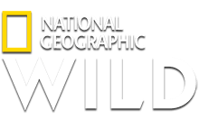 Nat Geo Wild logo